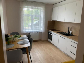 Spacious 3 bedroom apartment in great location, Ventspils